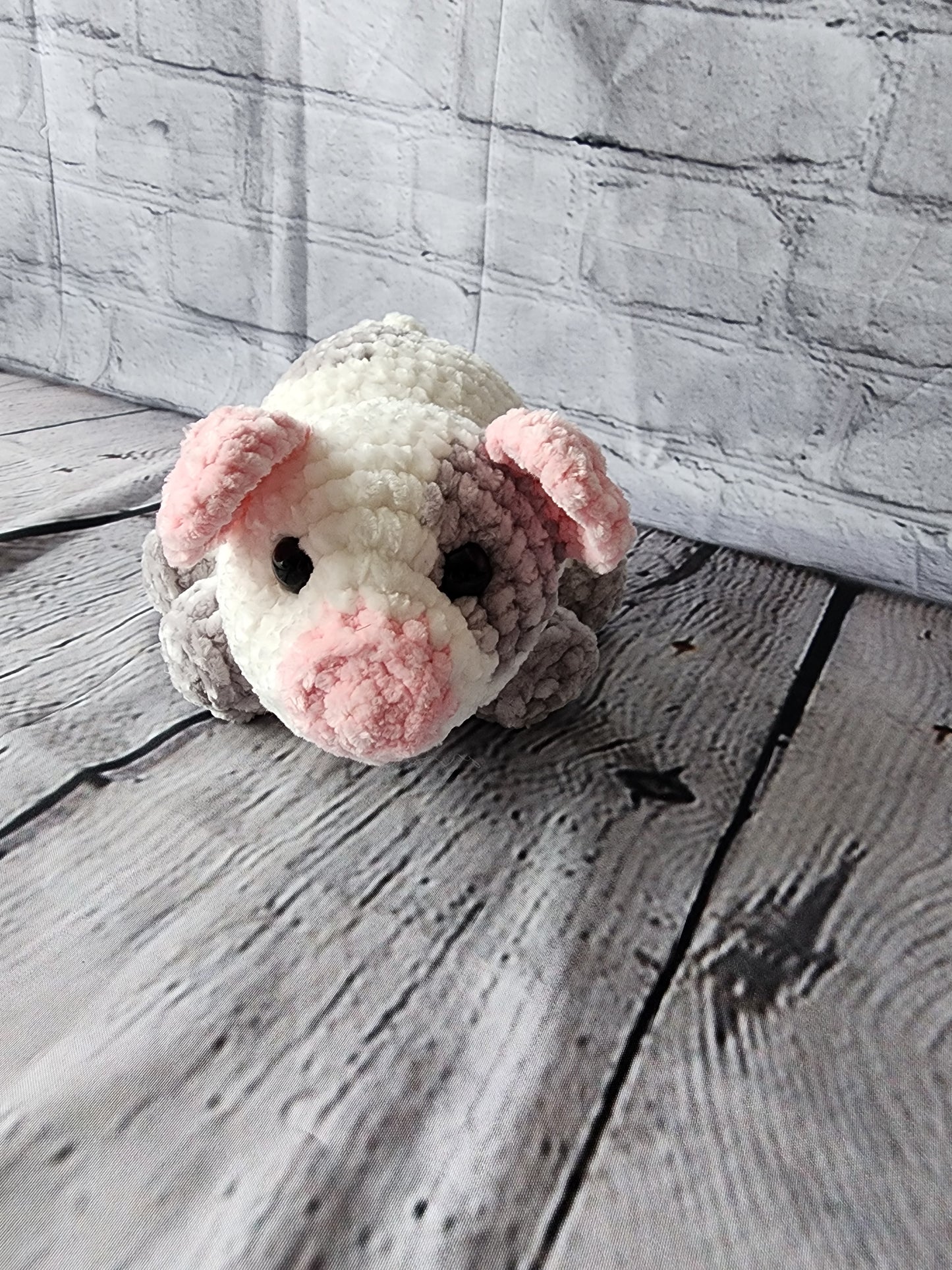 Dot the Spotted Pig