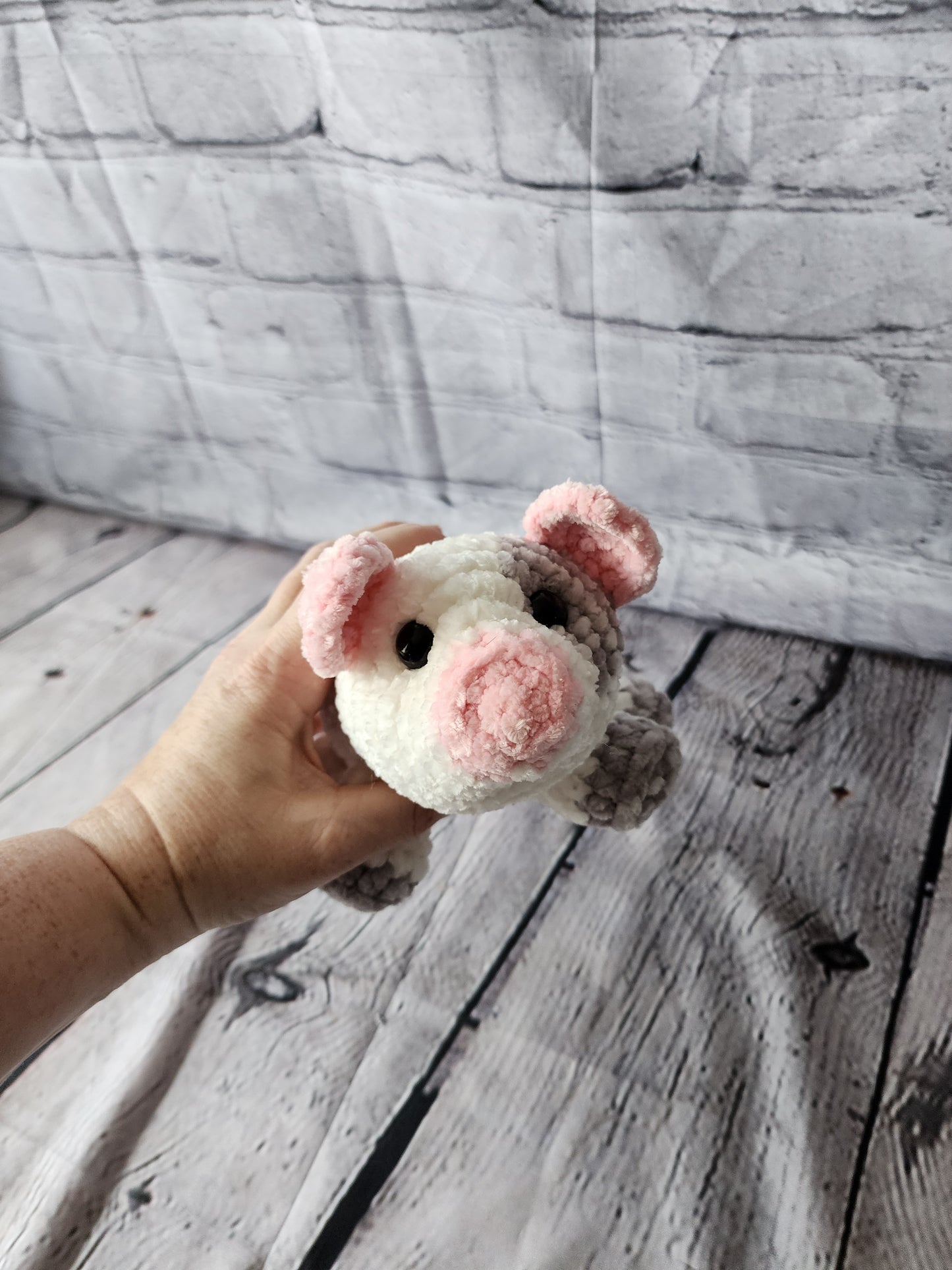 Dot the Spotted Pig