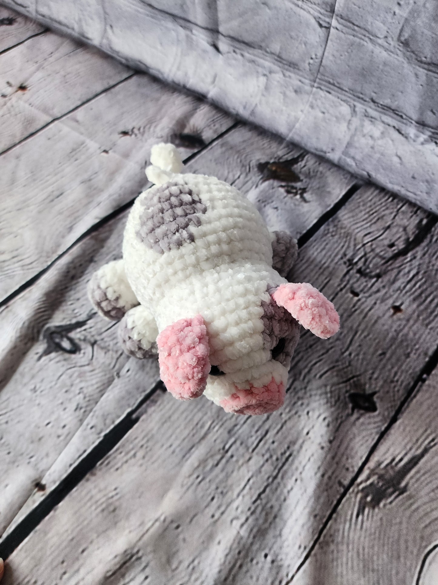 Dot the Spotted Pig